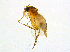  ( - BIOUG14575-B04)  @12 [ ] CreativeCommons - Attribution Non-Commercial Share-Alike (2011) M. Alex Smith University of Guelph