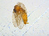  ( - BIOUG14575-C11)  @12 [ ] CreativeCommons - Attribution Non-Commercial Share-Alike (2011) M. Alex Smith University of Guelph