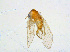  ( - BIOUG14575-C12)  @12 [ ] CreativeCommons - Attribution Non-Commercial Share-Alike (2011) M. Alex Smith University of Guelph