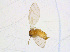  ( - BIOUG14575-D01)  @12 [ ] CreativeCommons - Attribution Non-Commercial Share-Alike (2011) M. Alex Smith University of Guelph