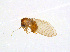  ( - BIOUG14575-D03)  @12 [ ] CreativeCommons - Attribution Non-Commercial Share-Alike (2011) M. Alex Smith University of Guelph