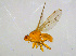  ( - BIOUG14575-D08)  @13 [ ] CreativeCommons - Attribution Non-Commercial Share-Alike (2011) M. Alex Smith University of Guelph