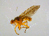  ( - BIOUG14575-D09)  @13 [ ] CreativeCommons - Attribution Non-Commercial Share-Alike (2011) M. Alex Smith University of Guelph