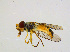  ( - BIOUG14575-H08)  @12 [ ] CreativeCommons - Attribution Non-Commercial Share-Alike (2011) M. Alex Smith University of Guelph