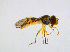  ( - BIOUG14575-H11)  @12 [ ] CreativeCommons - Attribution Non-Commercial Share-Alike (2011) M. Alex Smith University of Guelph