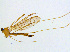  ( - BIOUG14576-C09)  @11 [ ] CreativeCommons - Attribution Non-Commercial Share-Alike (2011) M. Alex Smith University of Guelph