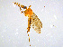  ( - BIOUG14577-A09)  @13 [ ] CreativeCommons - Attribution Non-Commercial Share-Alike (2011) M. Alex Smith University of Guelph