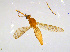  ( - BIOUG14577-B04)  @13 [ ] CreativeCommons - Attribution Non-Commercial Share-Alike (2011) M. Alex Smith University of Guelph