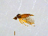  ( - BIOUG14577-D07)  @13 [ ] CreativeCommons - Attribution Non-Commercial Share-Alike (2011) M. Alex Smith University of Guelph