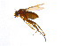  ( - BIOUG14577-H05)  @13 [ ] CreativeCommons - Attribution Non-Commercial Share-Alike (2011) M. Alex Smith University of Guelph