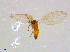  ( - BIOUG14578-B11)  @12 [ ] CreativeCommons - Attribution Non-Commercial Share-Alike (2011) M. Alex Smith University of Guelph