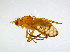  ( - BIOUG14578-C12)  @11 [ ] CreativeCommons - Attribution Non-Commercial Share-Alike (2011) M. Alex Smith University of Guelph