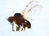  ( - BIOUG14578-F02)  @13 [ ] CreativeCommons - Attribution Non-Commercial Share-Alike (2011) M. Alex Smith University of Guelph