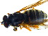  ( - BIOUG14578-H01)  @12 [ ] CreativeCommons - Attribution Non-Commercial Share-Alike (2011) M. Alex Smith University of Guelph