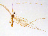  ( - BIOUG14579-B03)  @11 [ ] CreativeCommons - Attribution Non-Commercial Share-Alike (2011) M. Alex Smith University of Guelph