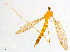  ( - BIOUG14579-B04)  @11 [ ] CreativeCommons - Attribution Non-Commercial Share-Alike (2011) M. Alex Smith University of Guelph