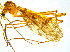  ( - BIOUG14579-C01)  @12 [ ] CreativeCommons - Attribution Non-Commercial Share-Alike (2011) M. Alex Smith University of Guelph