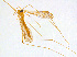  ( - BIOUG14579-C02)  @11 [ ] CreativeCommons - Attribution Non-Commercial Share-Alike (2011) M. Alex Smith University of Guelph