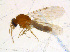  ( - BIOUG14579-D04)  @14 [ ] CreativeCommons - Attribution Non-Commercial Share-Alike (2011) M. Alex Smith University of Guelph