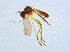  ( - BIOUG14579-G04)  @13 [ ] CreativeCommons - Attribution Non-Commercial Share-Alike (2011) M. Alex Smith University of Guelph