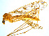  ( - BIOUG14580-H04)  @13 [ ] CreativeCommons - Attribution Non-Commercial Share-Alike (2011) M. Alex Smith Universtiy of Guelph