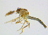  ( - BIOUG14581-B01)  @12 [ ] CreativeCommons - Attribution Non-Commercial Share-Alike (2011) M. Alex Smith University of Guelph