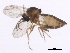  ( - BIOUG01409-A01)  @13 [ ] CreativeCommons - Attribution (2012) CBG Photography Group Centre for Biodiversity Genomics
