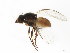  ( - BIOUG01410-C12)  @13 [ ] CreativeCommons - Attribution (2012) CBG Photography Group Centre for Biodiversity Genomics