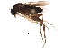  ( - BIOUG01389-E03)  @14 [ ] CreativeCommons - Attribution (2012) CBG Photography Group Centre for Biodiversity Genomics
