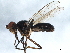  ( - BIOUG01392-G04)  @11 [ ] CreativeCommons - Attribution (2012) CBG Photography Group Centre for Biodiversity Genomics