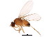  ( - BIOUG01400-B07)  @13 [ ] CreativeCommons - Attribution (2012) CBG Photography Group Centre for Biodiversity Genomics