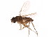  ( - BIOUG01400-H06)  @13 [ ] CreativeCommons - Attribution (2012) CBG Photography Group Centre for Biodiversity Genomics