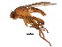  ( - BIOUG01402-C10)  @13 [ ] CreativeCommons - Attribution (2012) CBG Photography Group Centre for Biodiversity Genomics