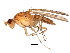  ( - BIOUG01402-G11)  @13 [ ] CreativeCommons - Attribution (2012) CBG Photography Group Centre for Biodiversity Genomics