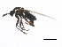  ( - BIOUG01403-F01)  @12 [ ] CreativeCommons - Attribution (2012) CBG Photography Group Centre for Biodiversity Genomics