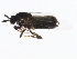  ( - BIOUG01403-G09)  @13 [ ] CreativeCommons - Attribution (2012) CBG Photography Group Centre for Biodiversity Genomics