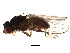  ( - BIOUG01406-B07)  @13 [ ] CreativeCommons - Attribution (2012) CBG Photography Group Centre for Biodiversity Genomics