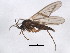  ( - BIOUG01406-C02)  @14 [ ] CreativeCommons - Attribution (2012) CBG Photography Group Centre for Biodiversity Genomics