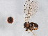  ( - BIOUG01406-C04)  @13 [ ] CreativeCommons - Attribution (2012) CBG Photography Group Centre for Biodiversity Genomics