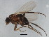  ( - BIOUG01406-G02)  @13 [ ] CreativeCommons - Attribution (2012) CBG Photography Group Centre for Biodiversity Genomics