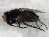  ( - BIOUG01408-G05)  @13 [ ] CreativeCommons - Attribution (2012) CBG Photography Group Centre for Biodiversity Genomics