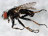  ( - BIOUG01411-B11)  @14 [ ] CreativeCommons - Attribution (2012) CBG Photography Group Centre for Biodiversity Genomics