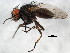  ( - BIOUG01411-D09)  @12 [ ] CreativeCommons - Attribution (2012) CBG Photography Group Centre for Biodiversity Genomics