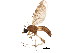  ( - BIOUG01411-D12)  @12 [ ] CreativeCommons - Attribution (2012) CBG Photography Group Centre for Biodiversity Genomics