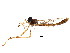  ( - BIOUG01411-H02)  @13 [ ] CreativeCommons - Attribution (2012) CBG Photography Group Centre for Biodiversity Genomics