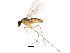  ( - BIOUG01422-B08)  @13 [ ] CreativeCommons - Attribution (2012) CBG Photography Group Centre for Biodiversity Genomics