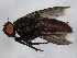  ( - BIOUG01422-D11)  @13 [ ] CreativeCommons - Attribution (2012) CBG Photography Group Centre for Biodiversity Genomics