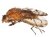  ( - BIOUG01422-H06)  @15 [ ] CreativeCommons - Attribution (2012) CBG Photography Group Centre for Biodiversity Genomics