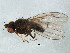  ( - BIOUG01426-D02)  @14 [ ] CreativeCommons - Attribution (2012) CBG Photography Group Centre for Biodiversity Genomics