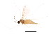  ( - BIOUG01426-F11)  @12 [ ] CreativeCommons - Attribution (2012) CBG Photography Group Centre for Biodiversity Genomics